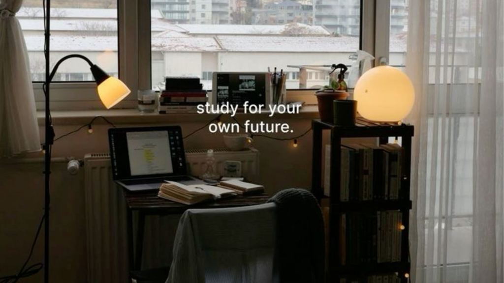 Papel de parede para PC inspiração estudos com frase em inglês  "study for your own future".