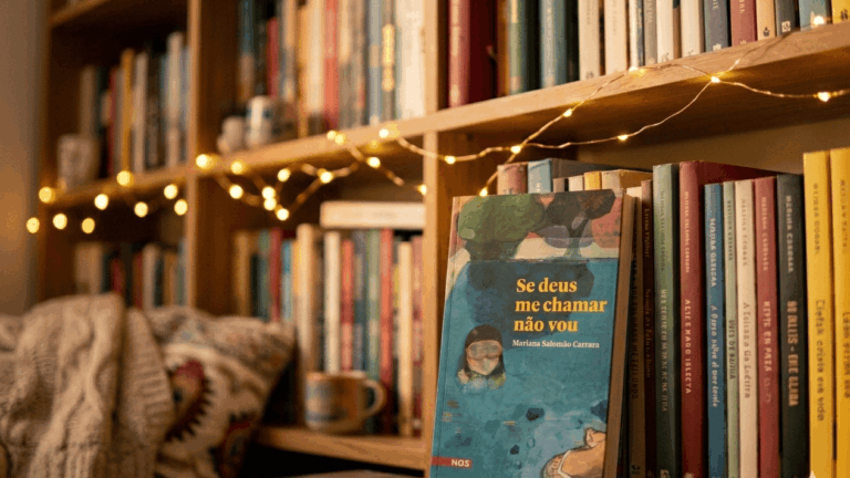 Minhas frases preferidas de “Se deus me chamar não vou”